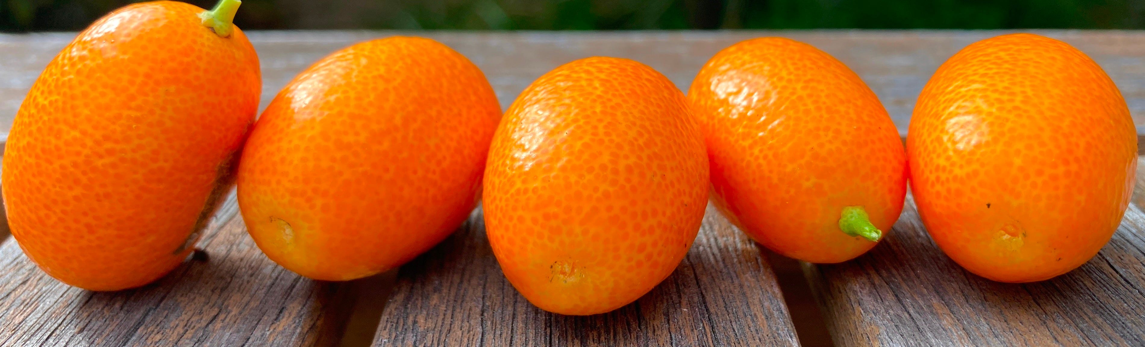 five kumquats on table