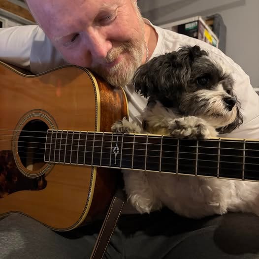 May be an image of guitar May be an image of guitar