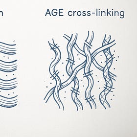 Tendon Health Part 2: When Tendons Meet Metabolism