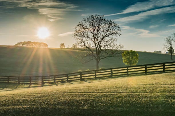 940+ Kentucky Sunrise Stock Photos, Pictures & Royalty-Free Images - iStock  | Kentucky sunset, Austin sunrise