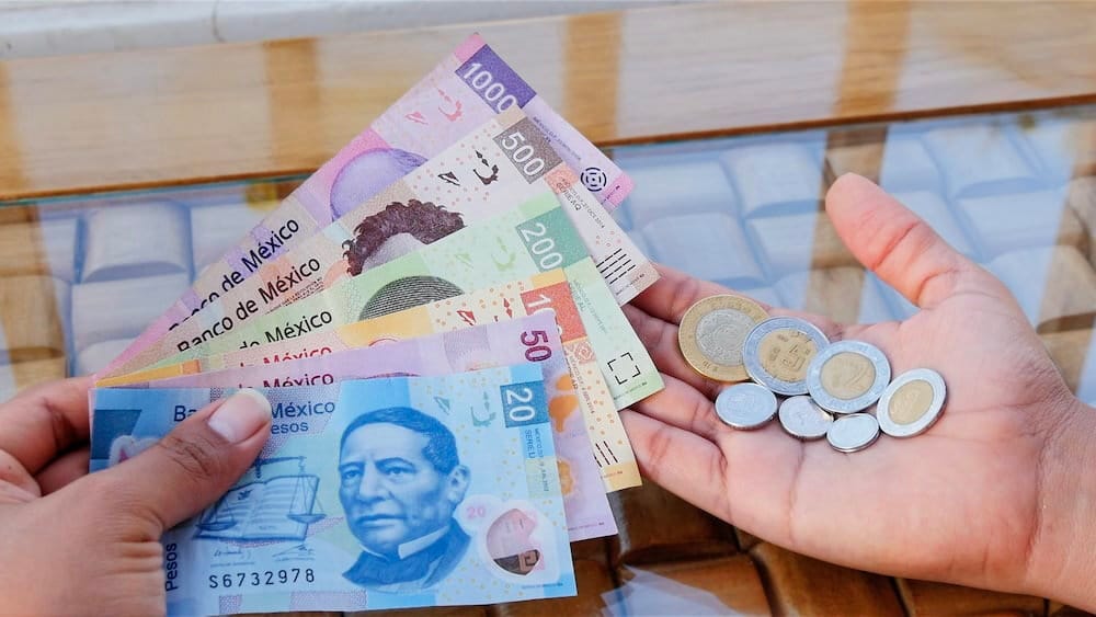 All About Mexican Pesos (MXN) - Getting Used to Mexican Money — Spanish and  Go