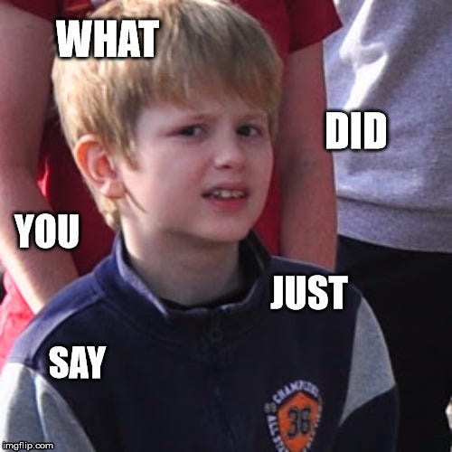what did you just say? - Imgflip