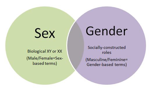 Sex And Gender: Two Distinct Concepts That Need To Be Understood