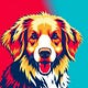 Orange Dog Diary