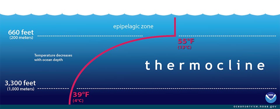 illustration of the thermocline