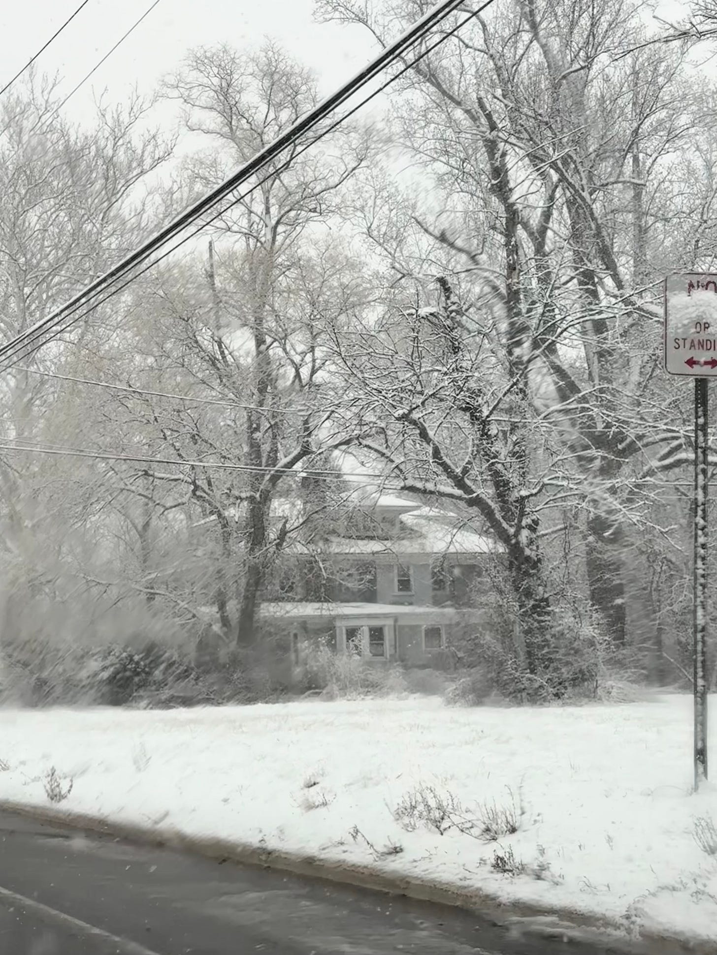 snow covered field and trees