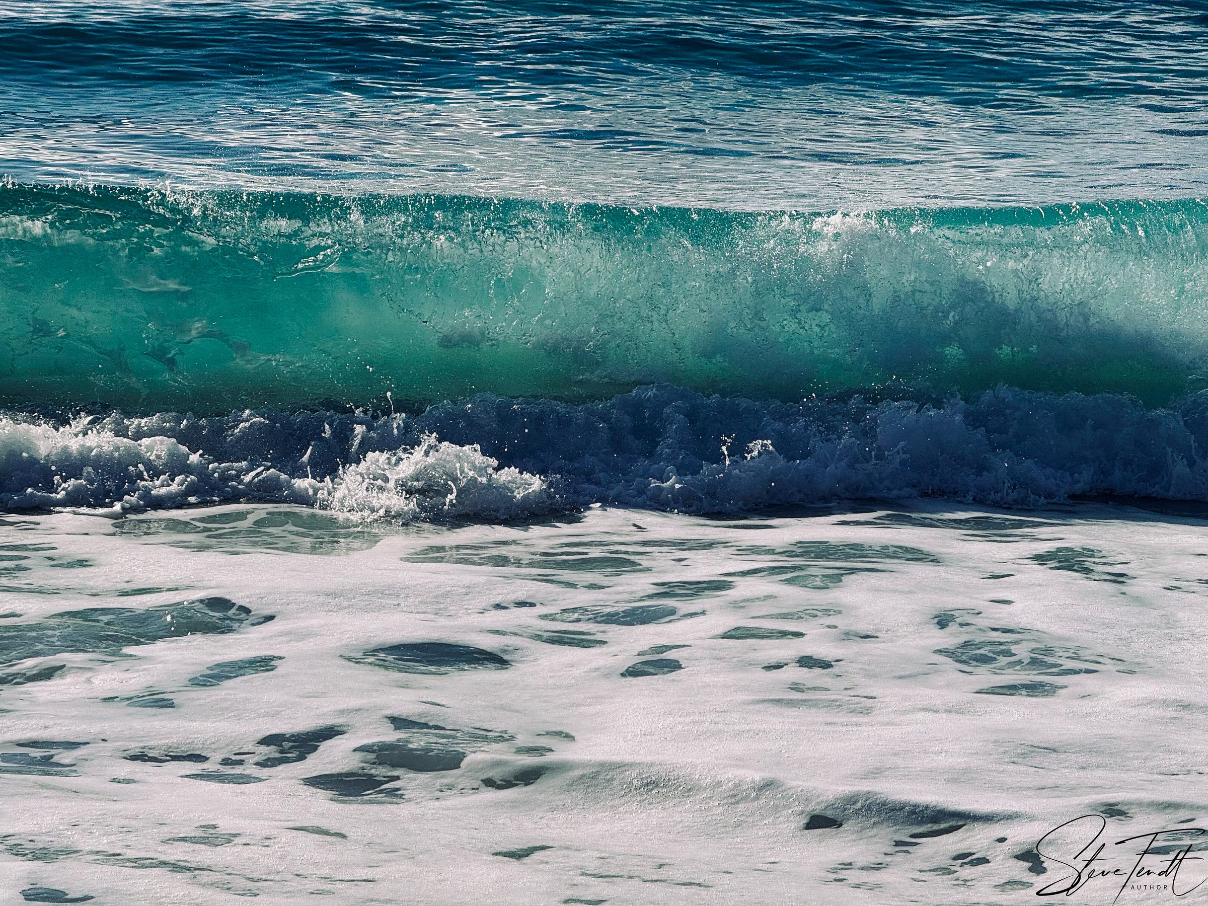 Photo: close-up of a wave beginning to break, foamy water in the foreground; stark contrast of light and shade.