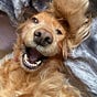 Fiona's avatar
