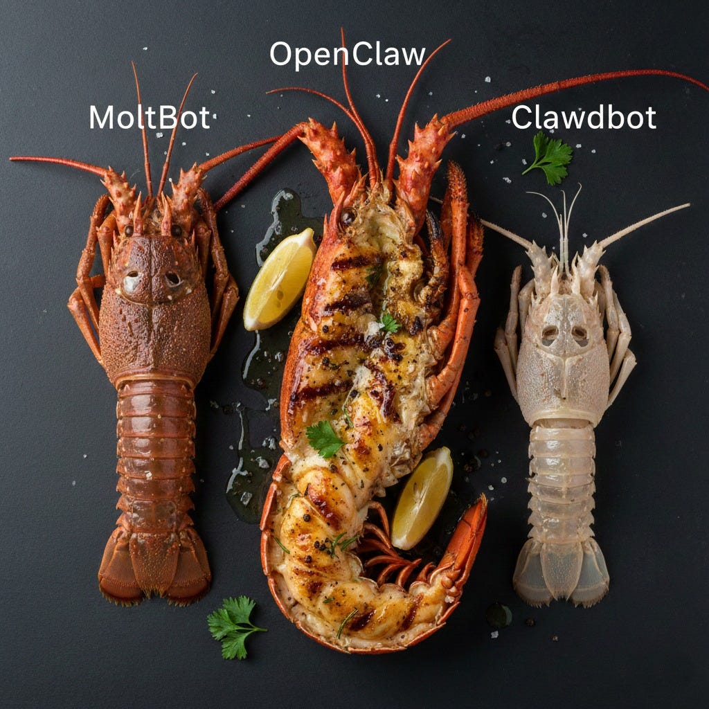 可能是顯示的文字是「 OpenClaw MoltBot Clawdbot 」的圖像