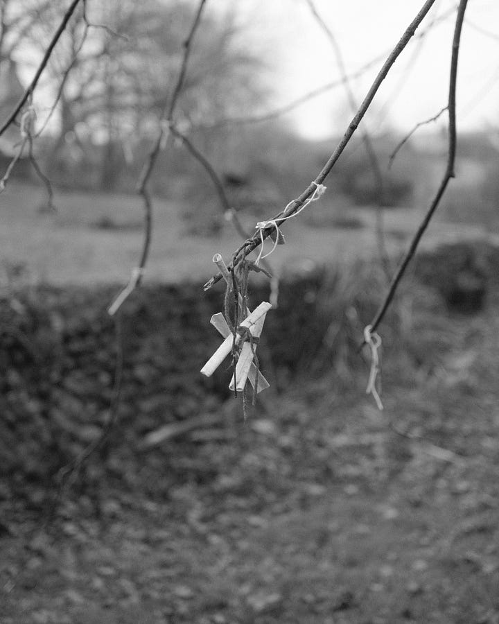 Ribbons with prayers and affectations tied to branches of a tree above St Augustine’s Well. Praising Shadows / Rebecka Wolfe.