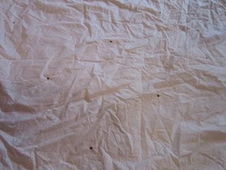 Polka dot mattress cover, complete with wrinkles!