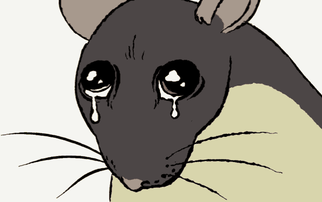 Sad Rat Crying Rat GIF - Sad Rat Crying Rat Profound Sadness - Discover &  Share GIFs
