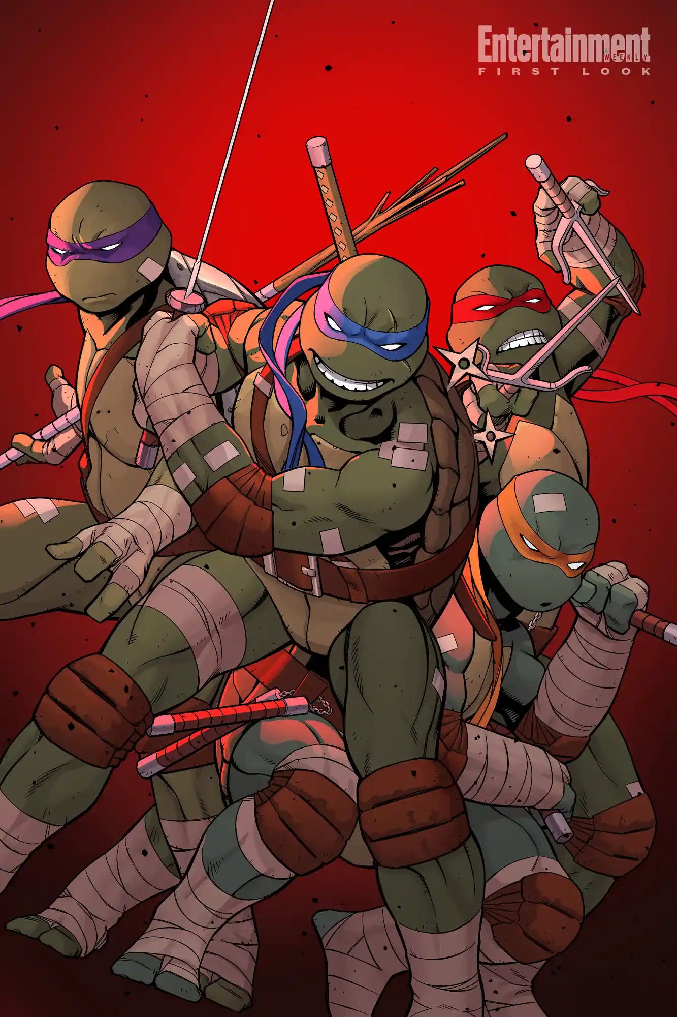 Teenage Mutant Ninija Turtles #25