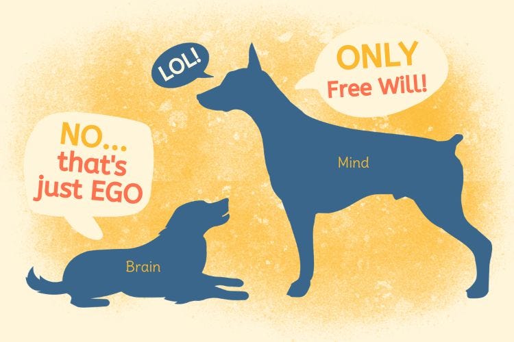 Contaminated Free Will As Ego Contaminated Free Will As Ego