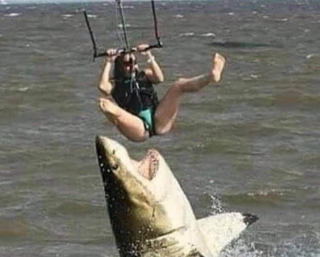 I would have enjoyed the Happy Days episode a hell of a lot more if Fonzie  jumped the shark this way.