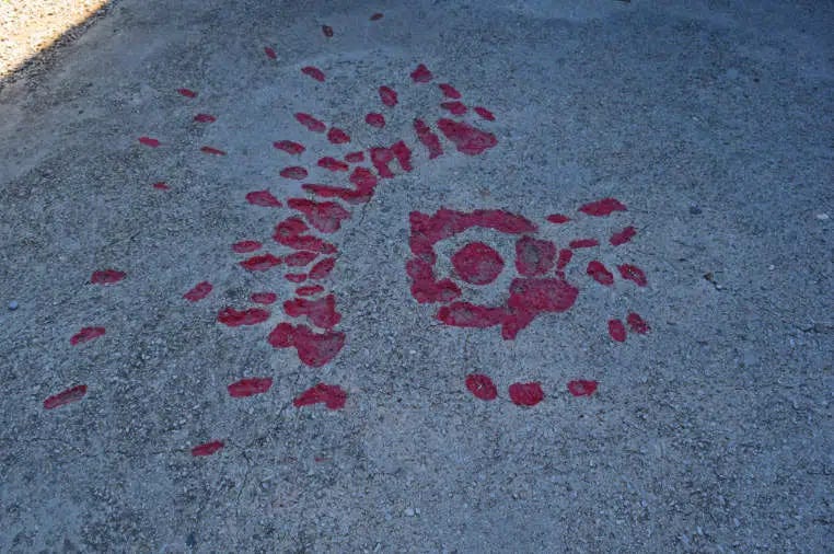 guerra da bosnia rosas de sarajevo