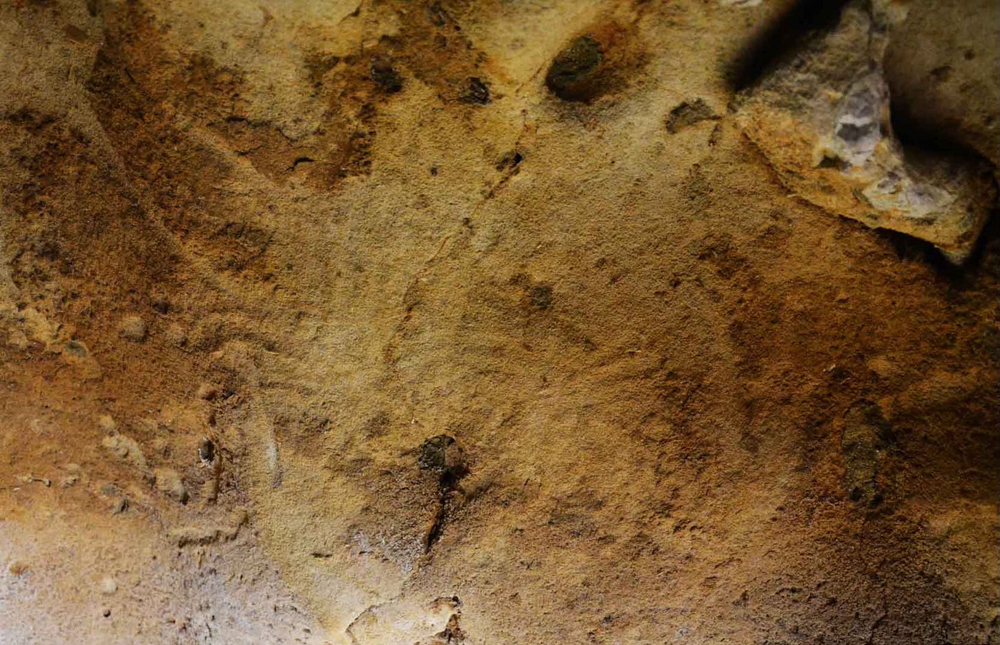 Rock wall with traces of parallel curving lines created by fingers in soft mud