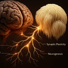 Lion’s Mane Mushroom May Help Reverse Neurodegenerative Disease and Iatrogenic Brain Damage