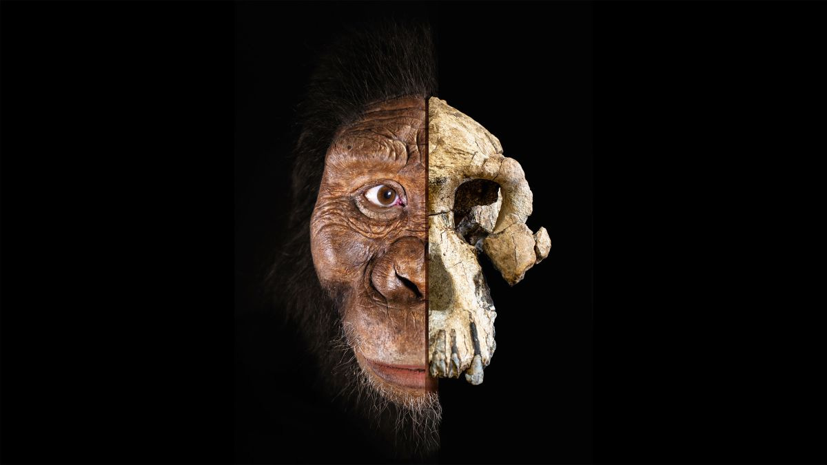 Archeological discoveries find that giants once walked on Earth