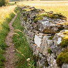 I Return to the Same Camino Route Every Year. Here Is What the Route Has Taught Me That a New One Never Could.