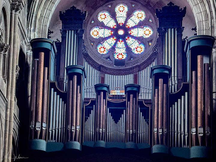 The organ