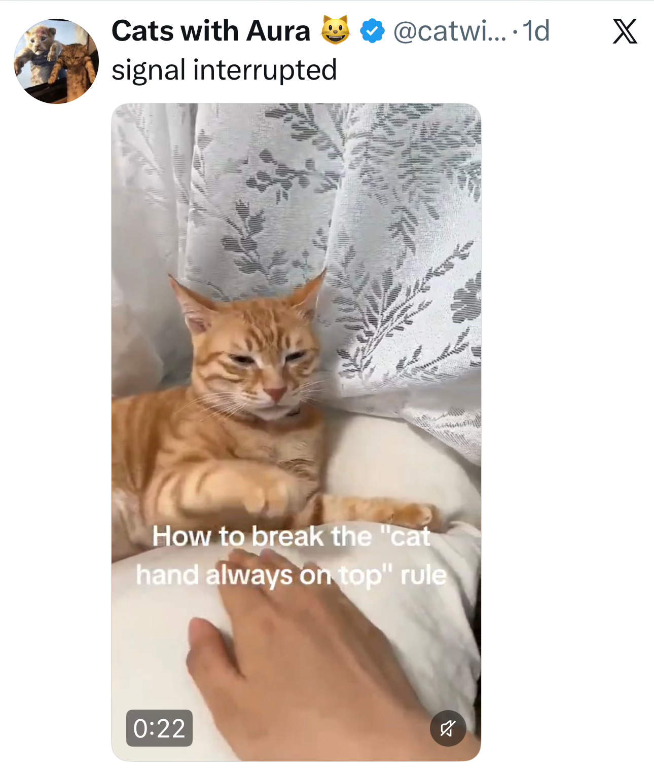 Image.heic