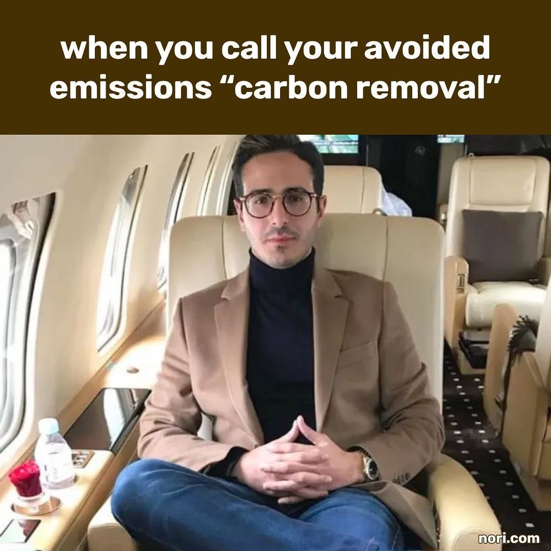 Top text on a brown banner: "when you call your avoided emissions 'carbon removal'". Below, the Tinder Swindler sits cross-legged in a cream leather private jet seat, hands steepled.
