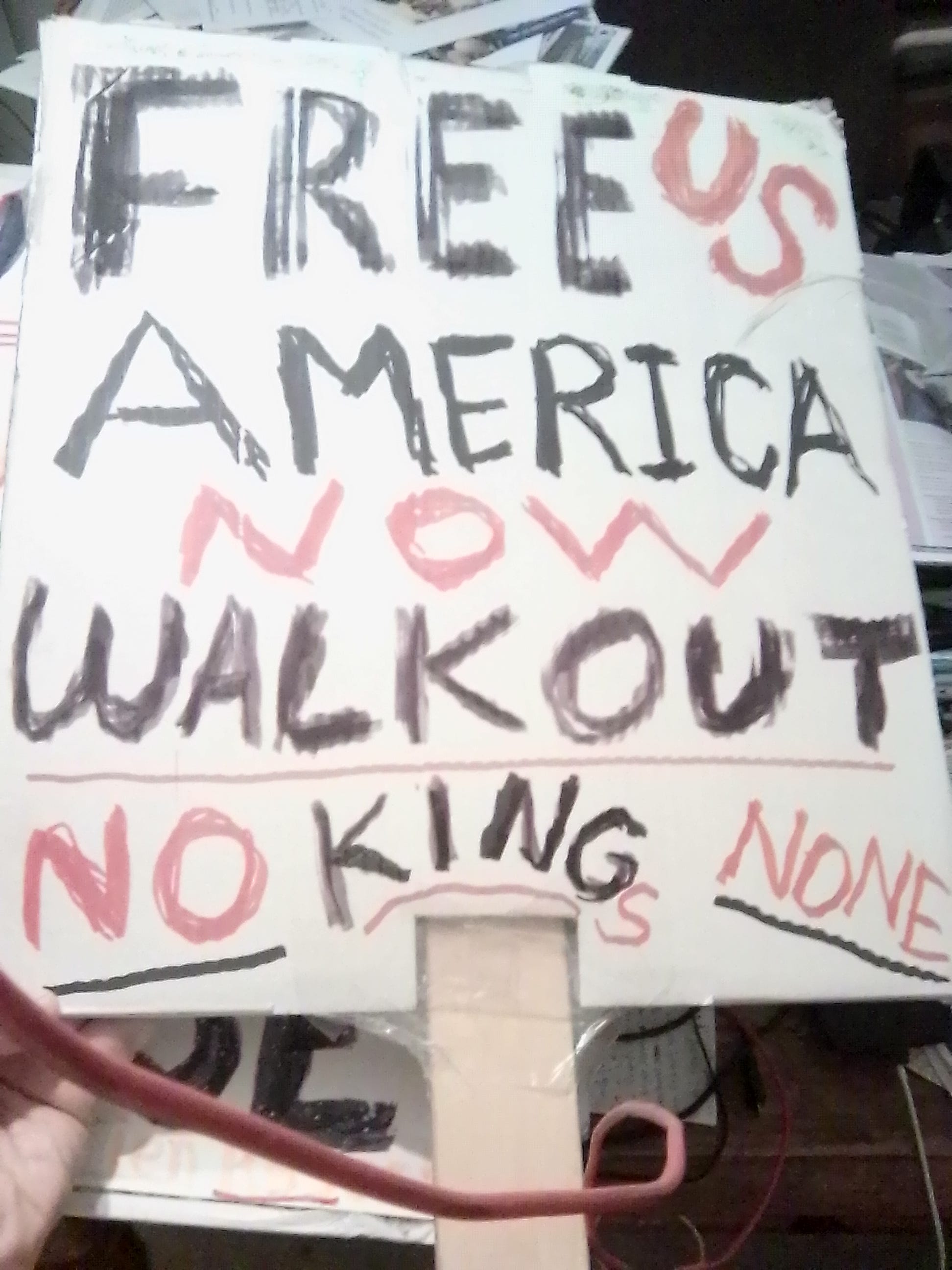 ~70 No Kings Sign Ideas - The 50501 Movement
