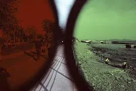 Seeing Truth in the Age of Information Overload