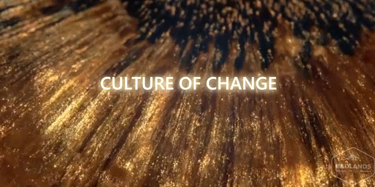 The American Wool Industry