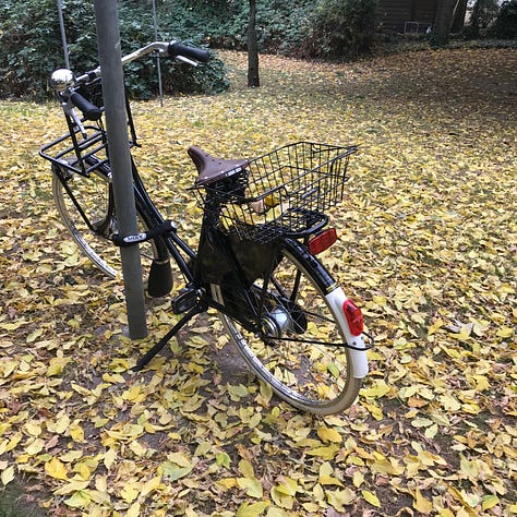 Views of a coffee shop, cats staring at a front-loading German washing machine, a woman in a large rain poncho, a cat sleeping on an induction stove burner, a courtyard filled with flowers, and elaborate stonework facade in Berlin, coffee on a table next to a river, a dutch style bike parked next to a tree with yellow leaves covering the ground and a man in a sofa with three cats cuddled up with him