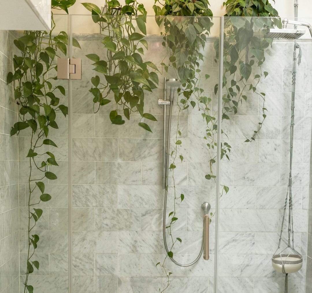 clear shower stall