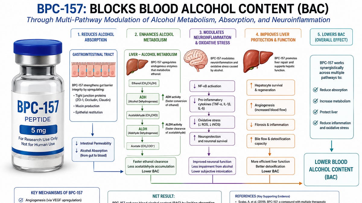 Can BPC-157 Blunt the Effects of Alcohol? The Angiogenesis Angle