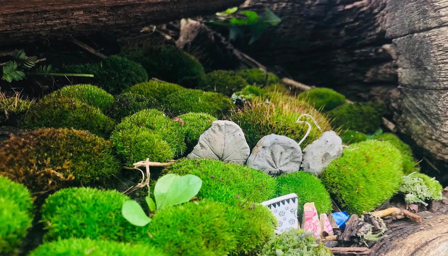 A cavity in a wall made of railroad ties filled with hillocks of bright green moss, tiny weeds, and a few shards of river worn pottery. A cavity in a wall made of railroad ties filled with hillocks of bright green moss, tiny weeds, and a few shards of river worn pottery.