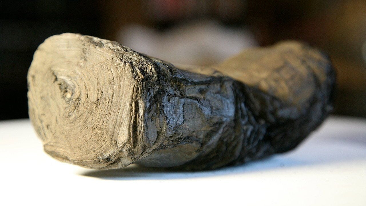 A 2,000-year-old scroll that was scorched in the eruption of Mount Vesuvius.