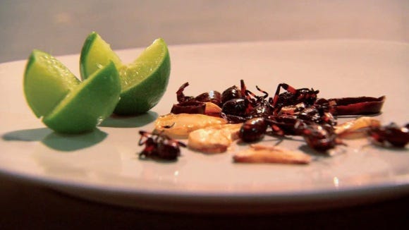 bugs-on-the-menu-inside