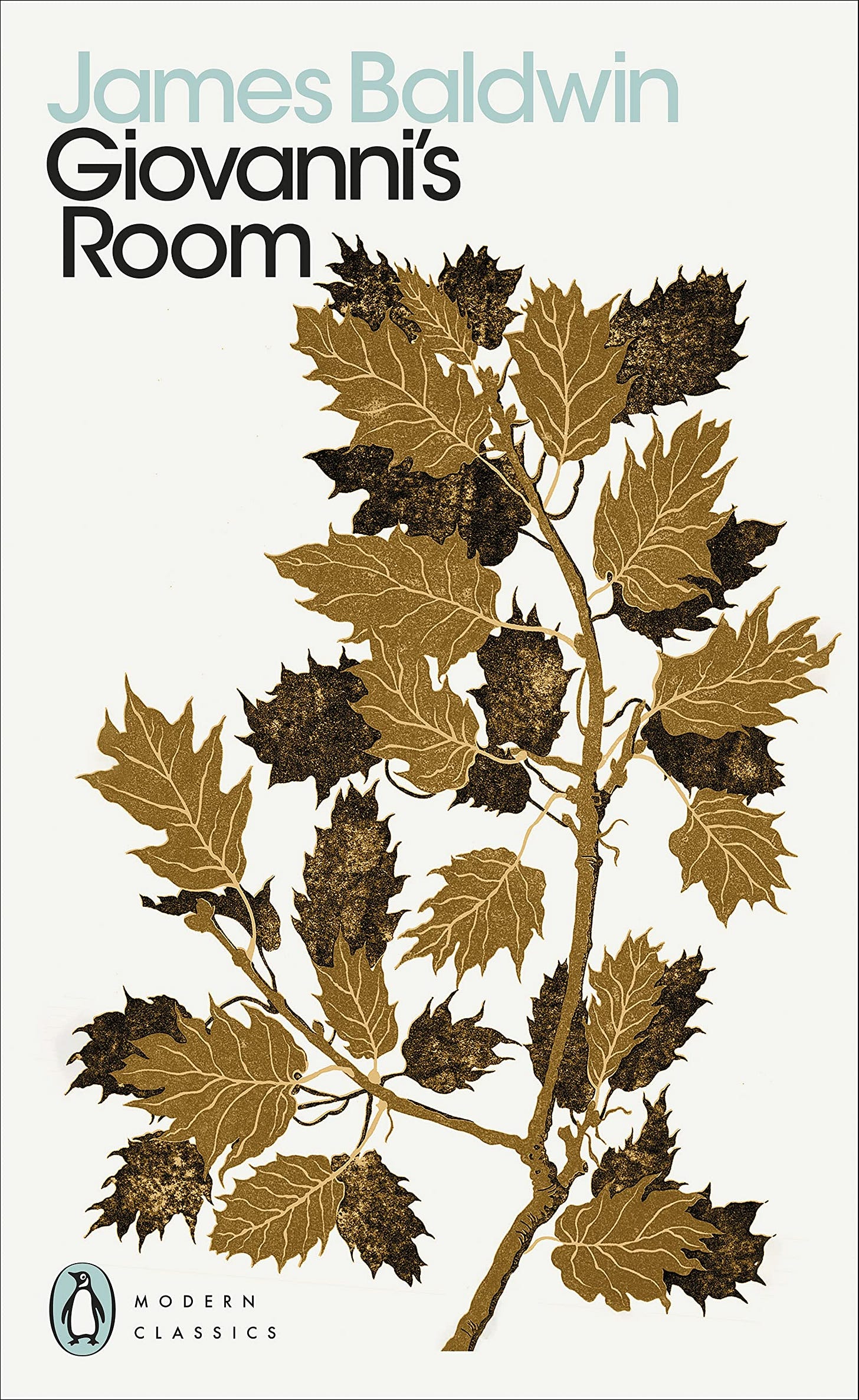 Giovanni's Room: James Baldwin (Penguin Great Loves): Amazon.co.uk:  Baldwin, James: 9780141032948: Books