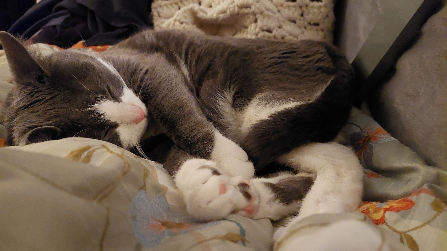 No photo description available.