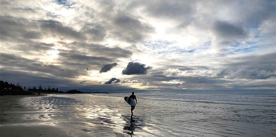 An urgent Open Letter to all Members of Parliament 3 Gene Technology Bill opinion