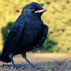 การทำงานของซาตาน 4 ครั้งเพื่อขัดขวางไม่ให้ผู้เชื่อเติบโต