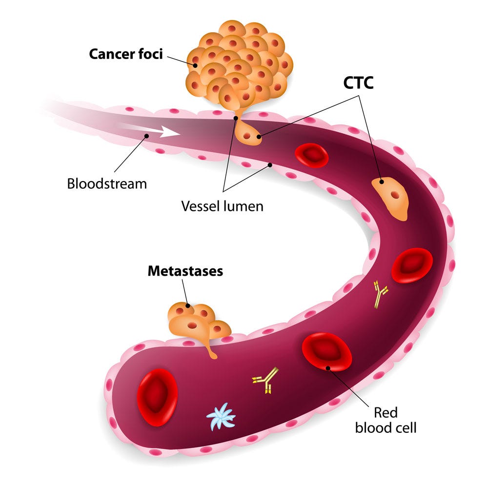 Liquid Biopsy & CTCs – CELLSWAY