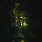 I Searched For Belonging and Found Christ. 