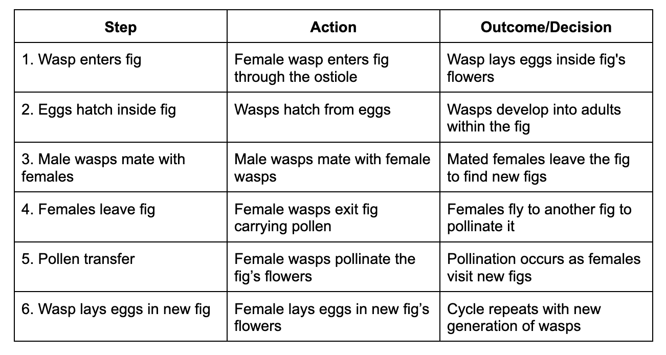 fig-wasp mutualism decision tree schema 1 fig-wasp mutualism decision tree schema 1