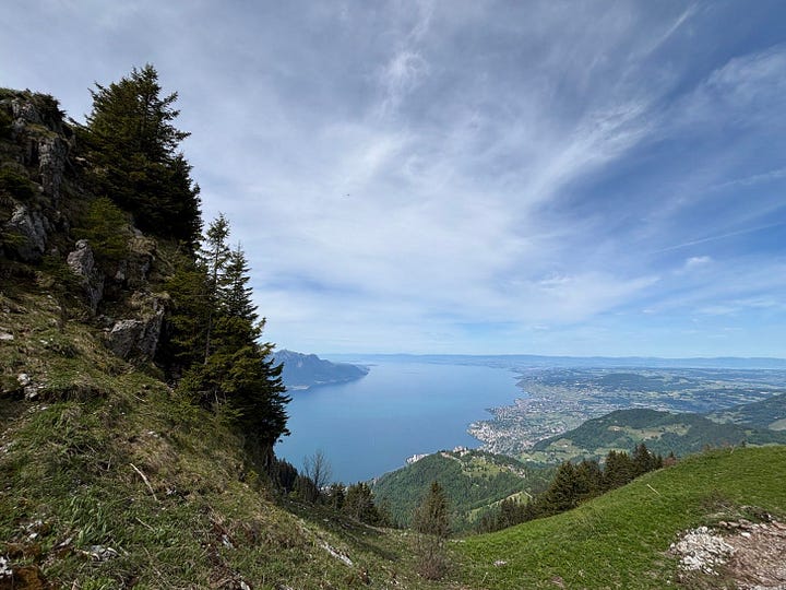 Views from Rochers de Naye