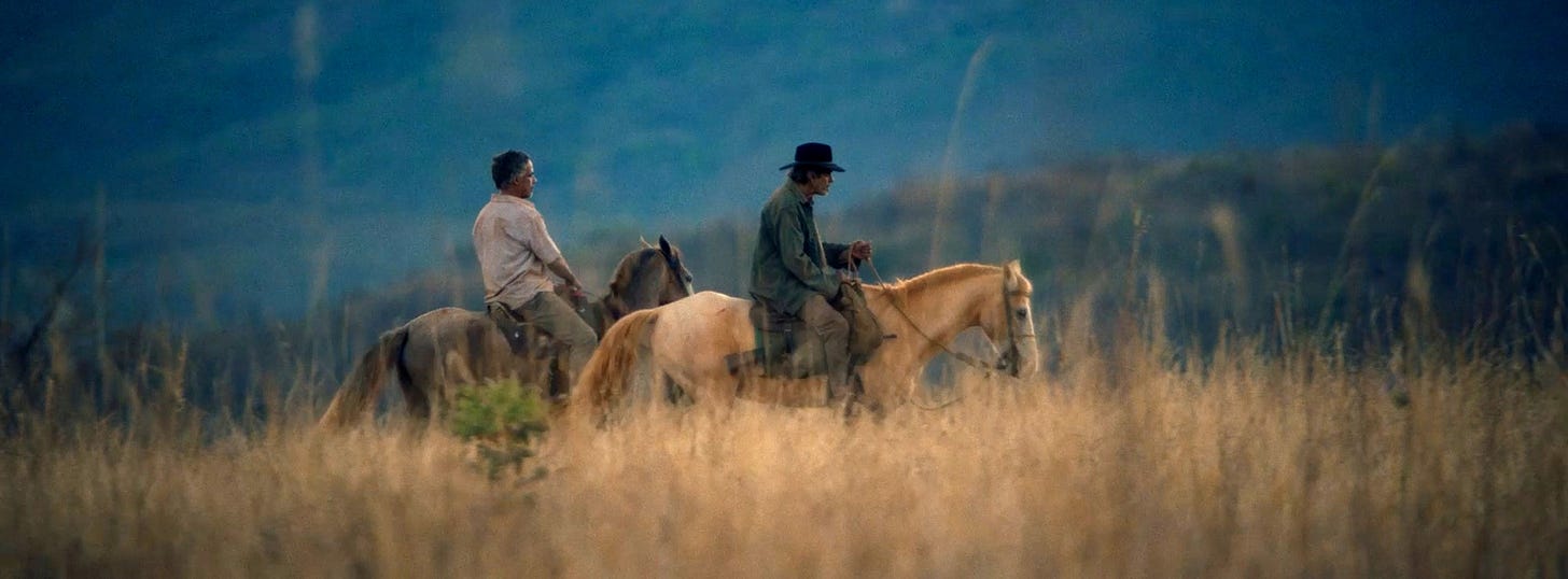 48ª Mostra Internacional de Cinema em São Paulo