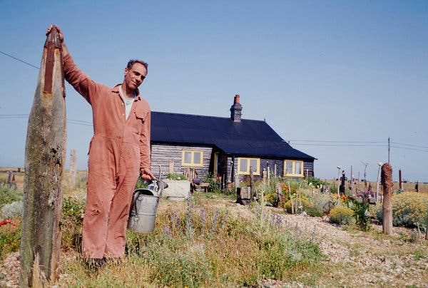 Planted in Sickness, Derek Jarman's Garden Still Gives Joy - The New York  Times
