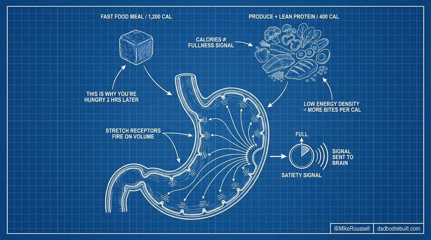 Technical blueprint illustration deep blueprint b