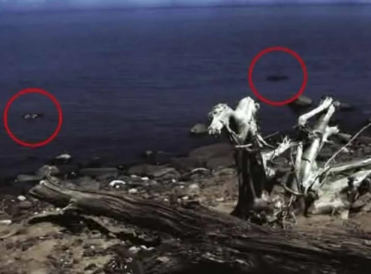 image taken of lake superior in michigan showing a strange monster swimming