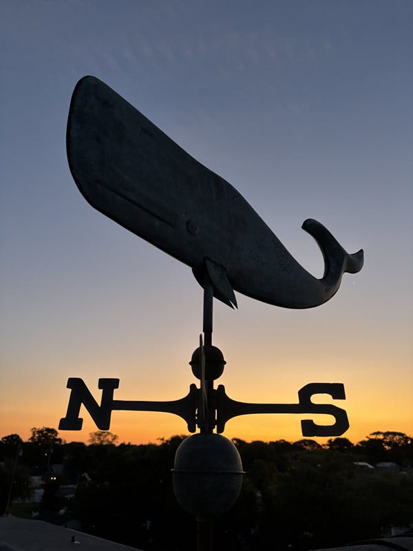 Whale weather vane Whale weather vane