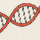 The Leadership Rhythm: Balancing Divergence and Convergence